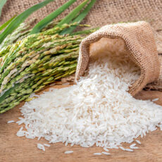 منتجات الارز