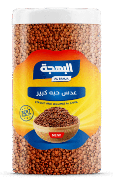 عدس حبه كبير